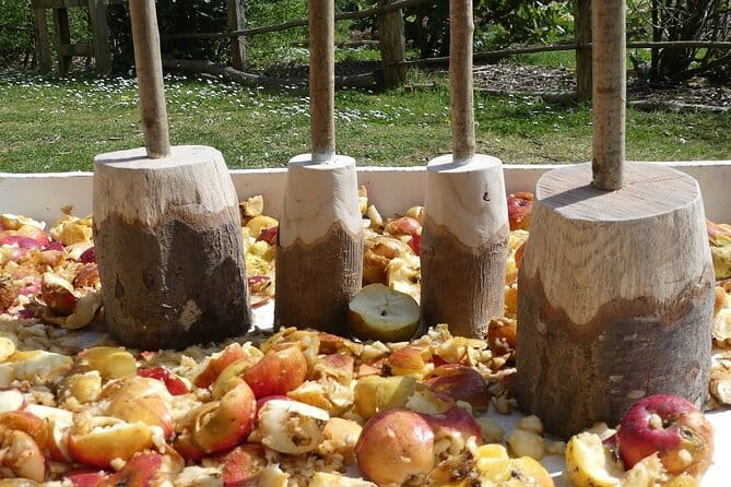 San Sebastian, Getaria & the rural Basque traditions - San Sebastián: Panoramic Views and Old Town Charm