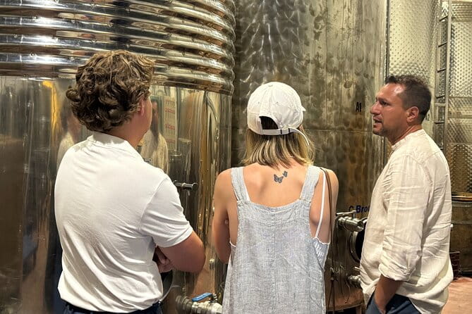 Santorini Mini Wine Tasting Tour at 2 Wineries - Final Thoughts