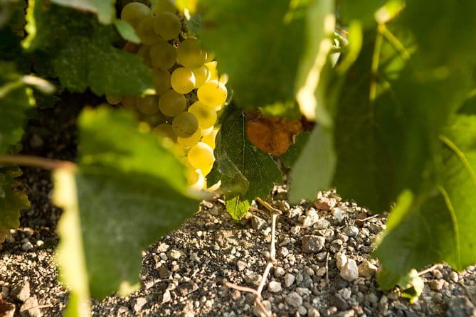 Santorini Private Wine and Food Tour - Who This Tour Is Perfect For