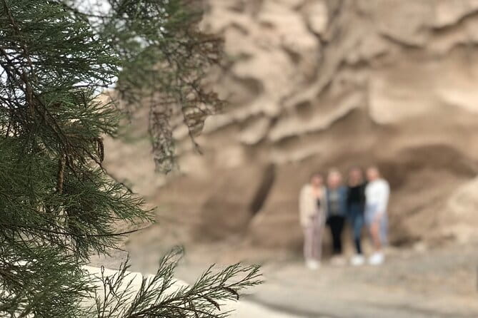 Santorini wine tasting and Traditional Cave Settlement Tour - Tasting Santorini’s Volcanic Wines