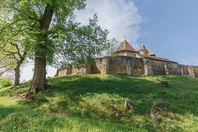 Saxon Secrets: The Malancrav & Biertan Experience - Why This Tour Works (and Why It Might Not)