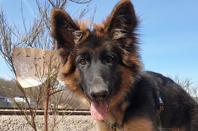 Scavenger Hunt in Gdask, Poland - The Guides and the Experience Atmosphere