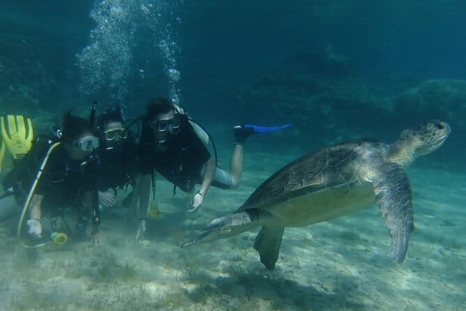 SCUBA DIVING first time experience - Who Should Consider This Experience?