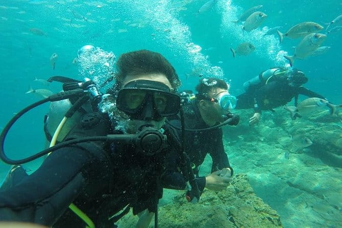 Scuba Diving from Bodrum - Who Should Book This Tour?