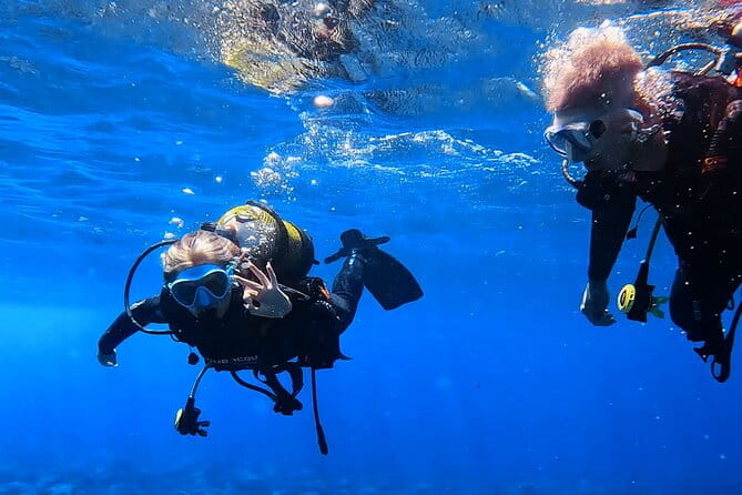 Scuba Experience in Tenerife with Guide - What’s really on the agenda