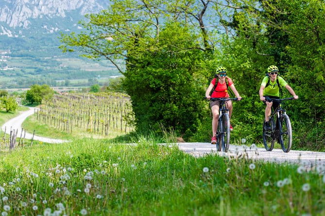 Secret vineyards E-bike tour - Who Is This Tour Best For?