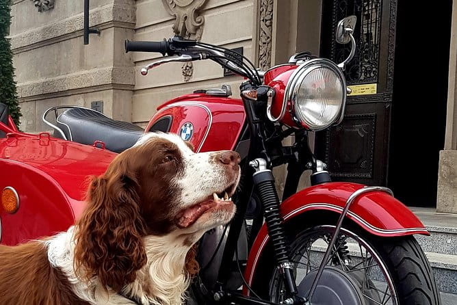 Sidecar Tours Belgrade - Final thoughts