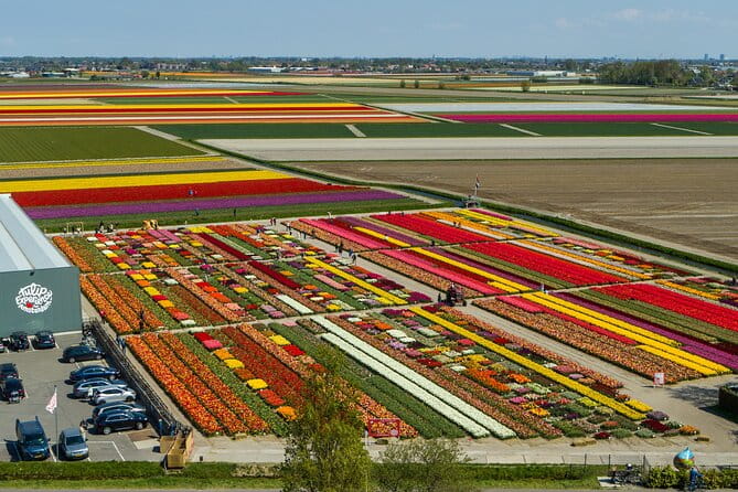 Sightseeing Keukenhof Tulip fields, Giethoorn tour from Amsterdam - The Sum Up