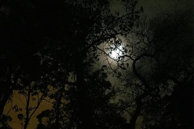 Sintra, Apparitions and Stories From the Mountains - Private Night Walk - Price and Logistics: Is It Worth It?