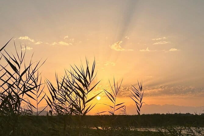 Skadar Lake Private Boat Tour with Wine Tasting - Practical Tips for a Great Experience