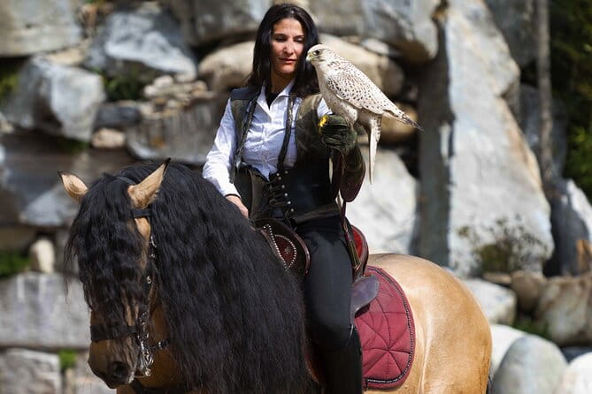 Skip the Line: Falconeria Locarno Ticket - The Sum Up