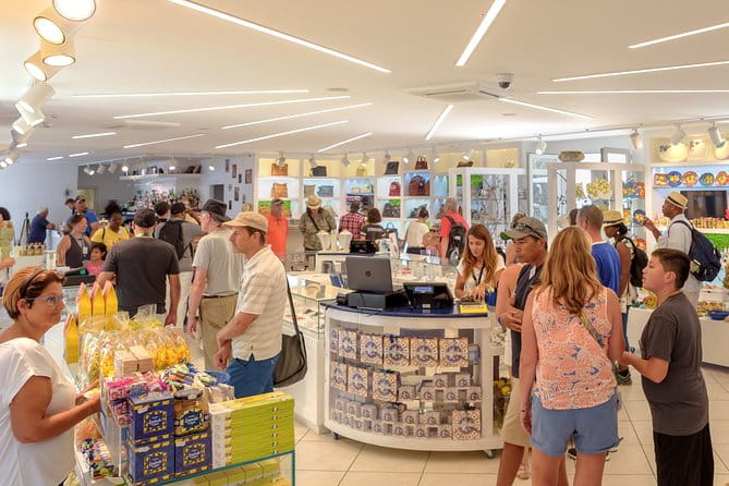 Skip-the-Line Herculaneum Tour from Sorrento - A Unique Limoncello Stop with a View