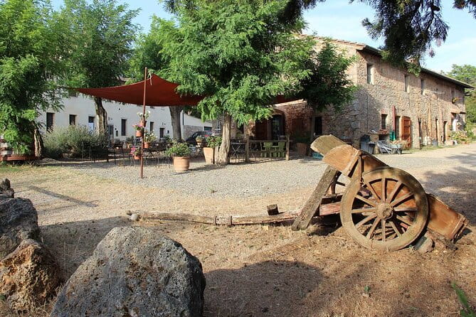 Small-Group Arezzo and Cortona Day Trip from Siena - Who Will Love This Tour?