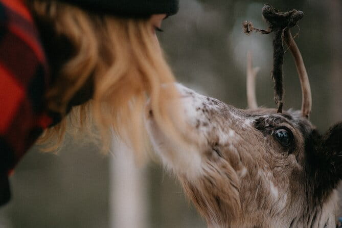 Small Group Fishing, Lunch& Reindeer Farm Visit in the Wilderness - Logistics and Practicalities