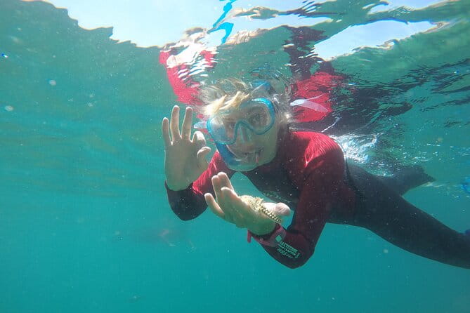 Snorkeling - Marine Park Discovery - The Experience: What It’s Like on the Water