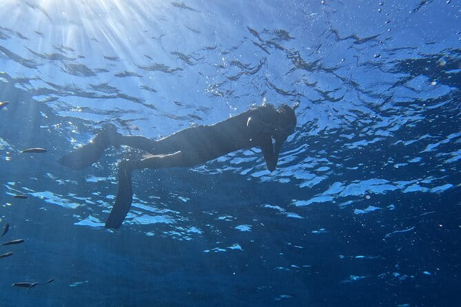 Snorkeling with a Professional Instructor in Tenerife - Who Will Love This Experience?