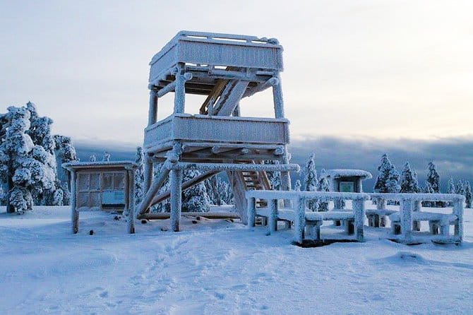 Snowmobile Safari in the Forest - Who Will Love This Tour?