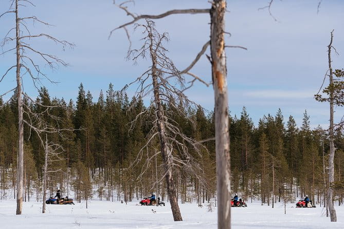 Snowmobile Safari into the Wilderness, Apukka Resort Rovaniemi - Who Should Consider This Tour