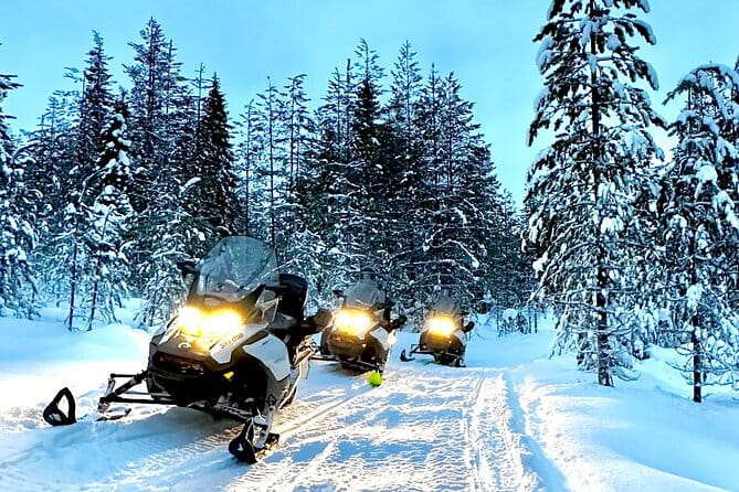 Snowmobile Safari to the Wilderness - Snowmobiling: The Heart of the Journey