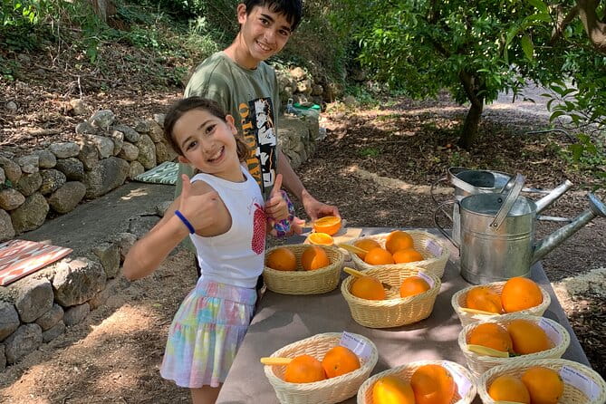 Soller Valley Private Tour and Walking in Orange Paradise - Practical Details: Logistics and Suitability