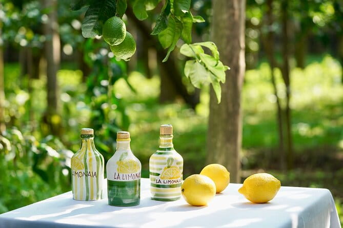 Sorrento Lemon Grove Experience with Local Product Tasting - Price and Value: Is It Worth It?