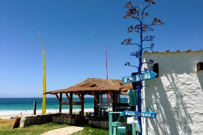 Spain's Best Beaches Day Trip from Seville - Who Will Love This Tour?