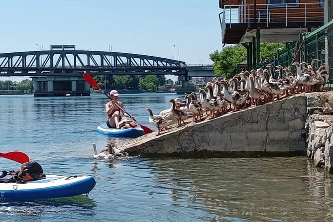 Stand Up Paddle Board or Kayak Rental in Shkodër - Who Will Love This Experience?