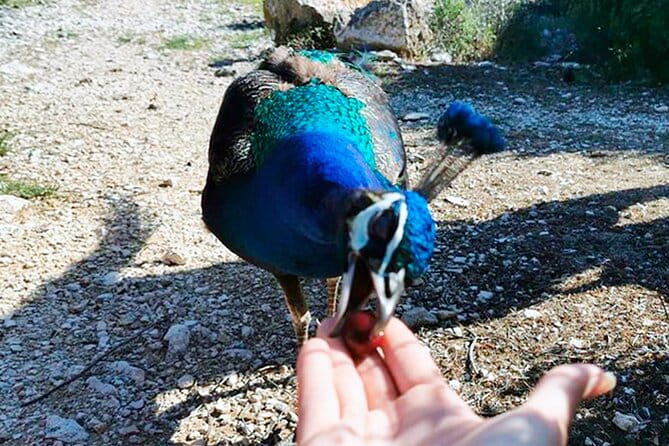 Stop on Island & National Park Day Cruise with Lunch Drinks - What Makes This Tour Stand Out?