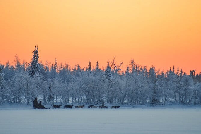 Sunrise Zen Husky Tour (10:00 to 13:00 - sitting on the sled) - FAQ