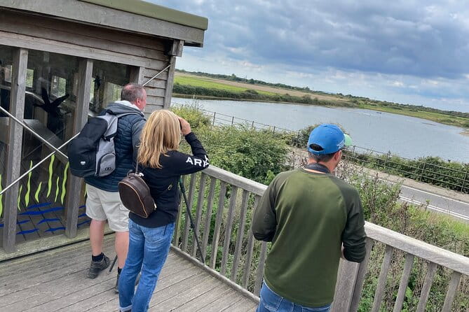 Sussex Birdwatching Private Guided Day Tour - Who Will Love This Tour?