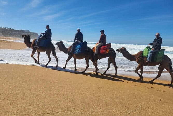 Tangier Luxury Private Day Tour From Tarifa including Camel ride - Price and Value