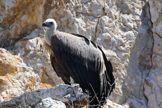 Taxi boat Kormat - Who will love this experience?