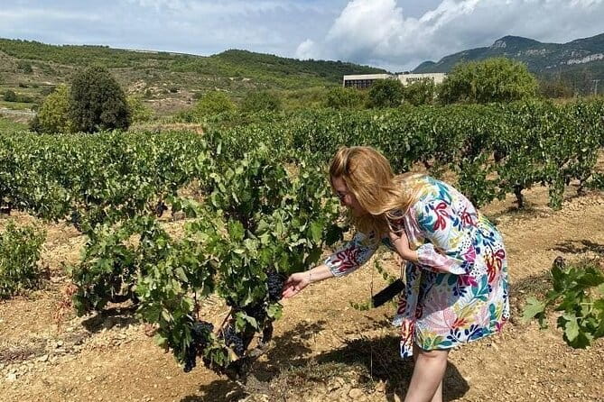 The Authentic Rioja Alavesa wine experiences - The Sum Up