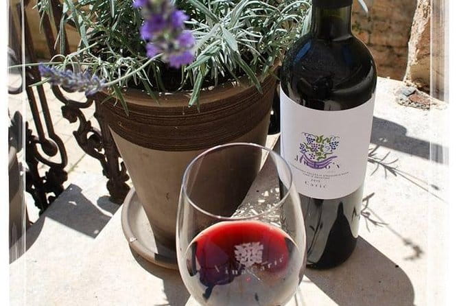 The Best of Hvar Small Group Tour with Wine Tasting and Dinner - Who Will Love This Tour?