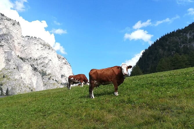 The Grand Dolomites Tour from Lake Garda - The Spectacular Pordoi Pass and Lunch Break