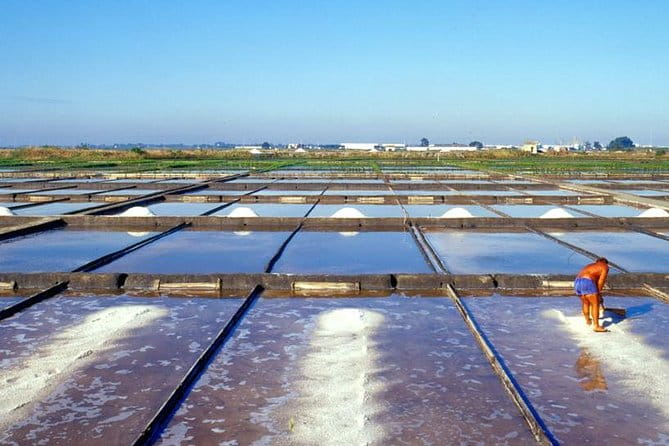 The Little Venice of Portugal: Aveiro Small Group Tour with Typical Boat Ride - Tasting Tradition: Ovos Moles and Salt Flats