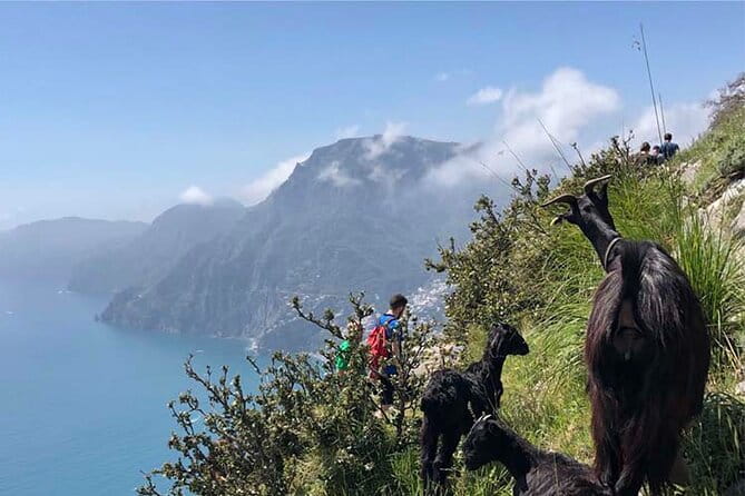 The Path of The Gods Private Guided Hike with Transfer - Final Thoughts