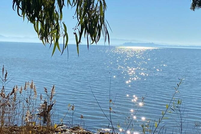 The spell of Lake Trasimeno - Trekking Tour - Price and Logistics: What You Need to Know