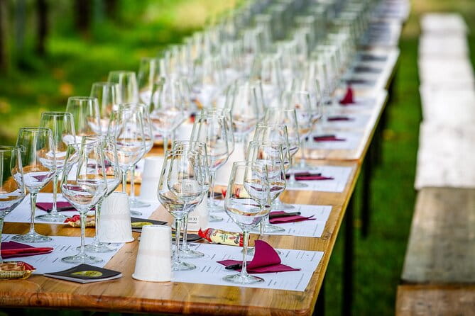 Tour and 3 wines tasting in the Prosecco Hills - Practical Tips for Visiting