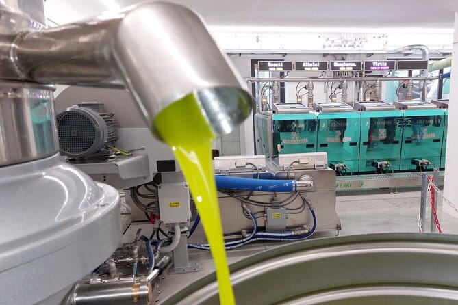 TOUR and TICKETS, VISIT TO THE MILL AND EVO OIL TASTING - Final Thoughts