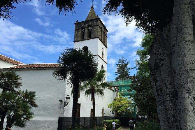 Tour Around the Island - Private VIP Tour in Tenerife - What Sets This Tour Apart