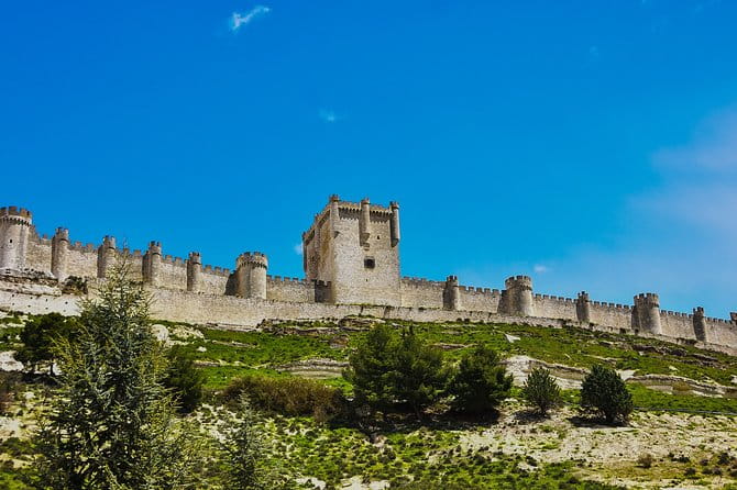 Tour in Ribera del Duero "like a native", with traditional Spanish tapas - Who Is This Tour Perfect For?