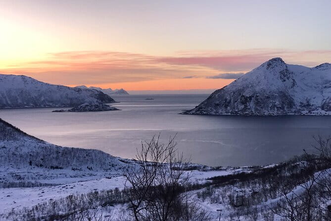 Tromsø: Fjords Tour with campfire and photos - Frequently Asked Questions