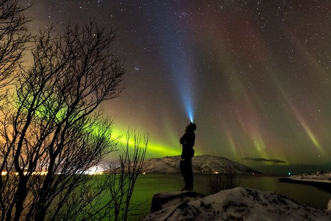 Tromsø Norway - Private northern lights tour with local guide - Who This Tour Is Best For