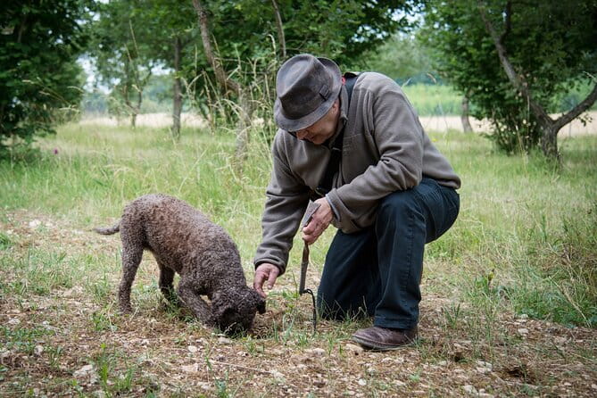 Truffle Cavage Demonstration - Key Points