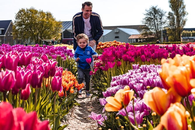 Tulip Experience and Keukenhof Flower Gardens Tour from Amsterdam - Transportation and Timing: The Luxury Touch