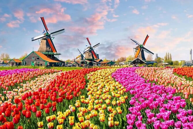 Tulip Paradise: Keukenhof Half-Day Private Tour - The Sum Up: Who Should Consider This Tour?