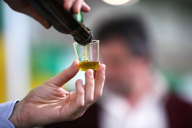 Tuscan ExtraVirgin Olive Oil Tour - Key Points / Takeaways