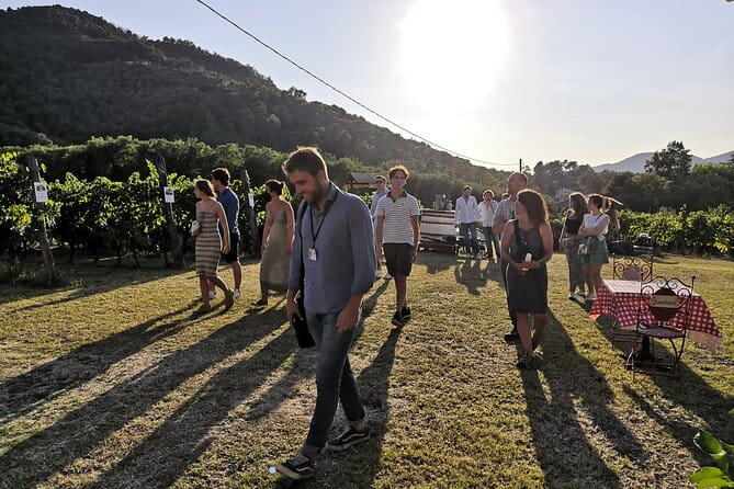 Tuscan Wine Tour in Lucca by van - FAQ