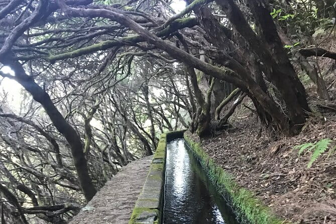 Twenty-Five Fountains Levada walks (private) - An In-Depth Look at the 25 Fountains Levada Experience